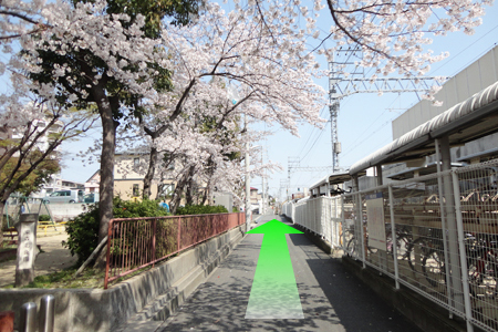 左手公園、右手駐輪場